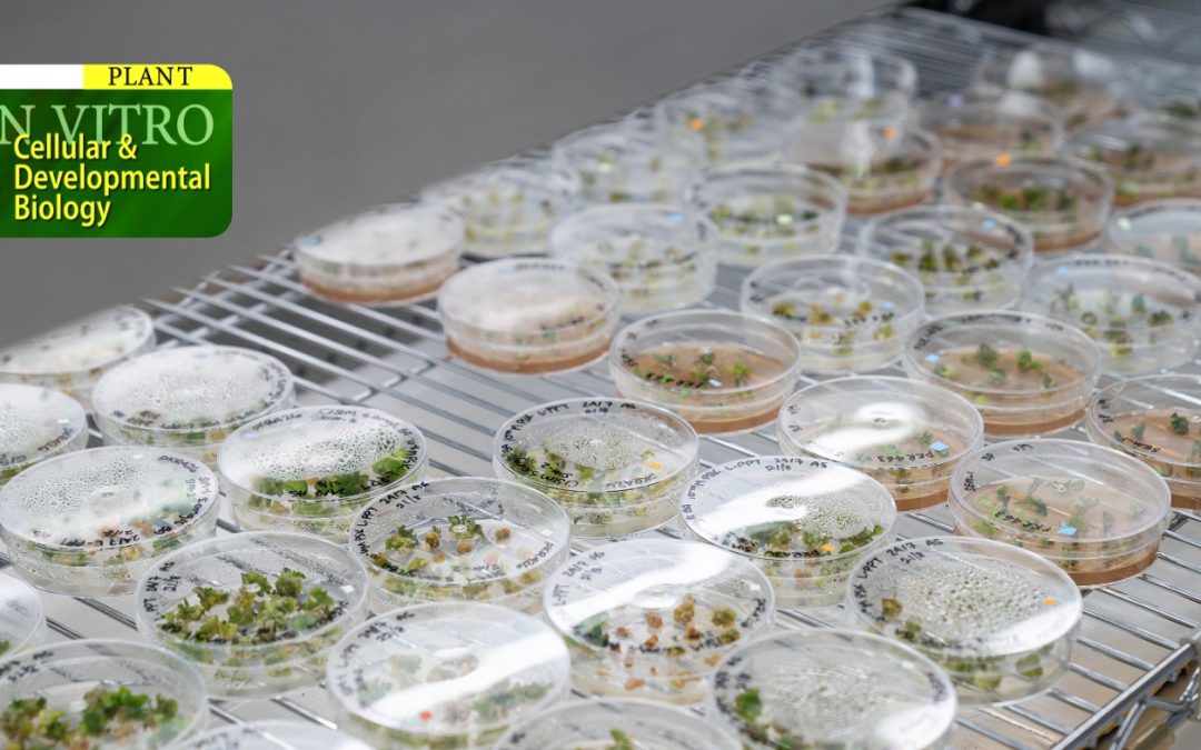 In Vitro Cellular & Developmental Biology – April 2024